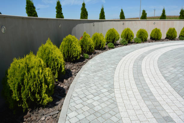 Reasons to Select Us for Your Driveway Paving Requirements in Red Bluff, CA
